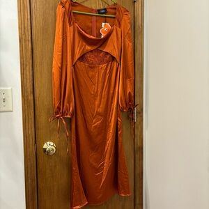 NWT satin Cider dress with lace detail, size small